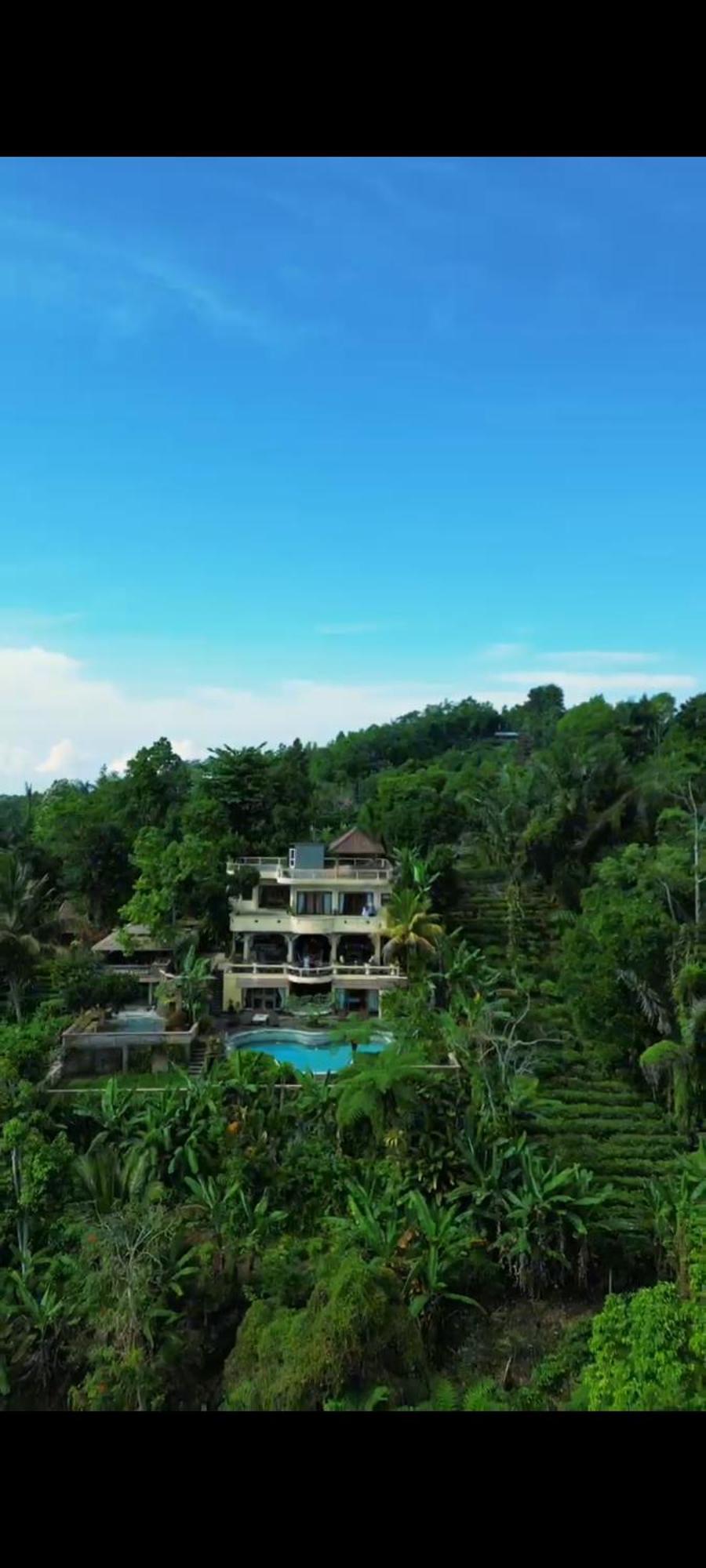 Bed and Breakfast Dwan Tea Mountain Side Jatiluwih Exteriér fotografie