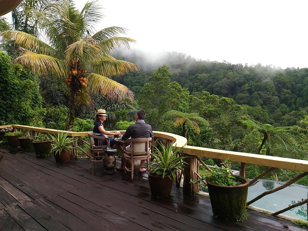 Bed and Breakfast Dwan Tea Mountain Side Jatiluwih Exteriér fotografie
